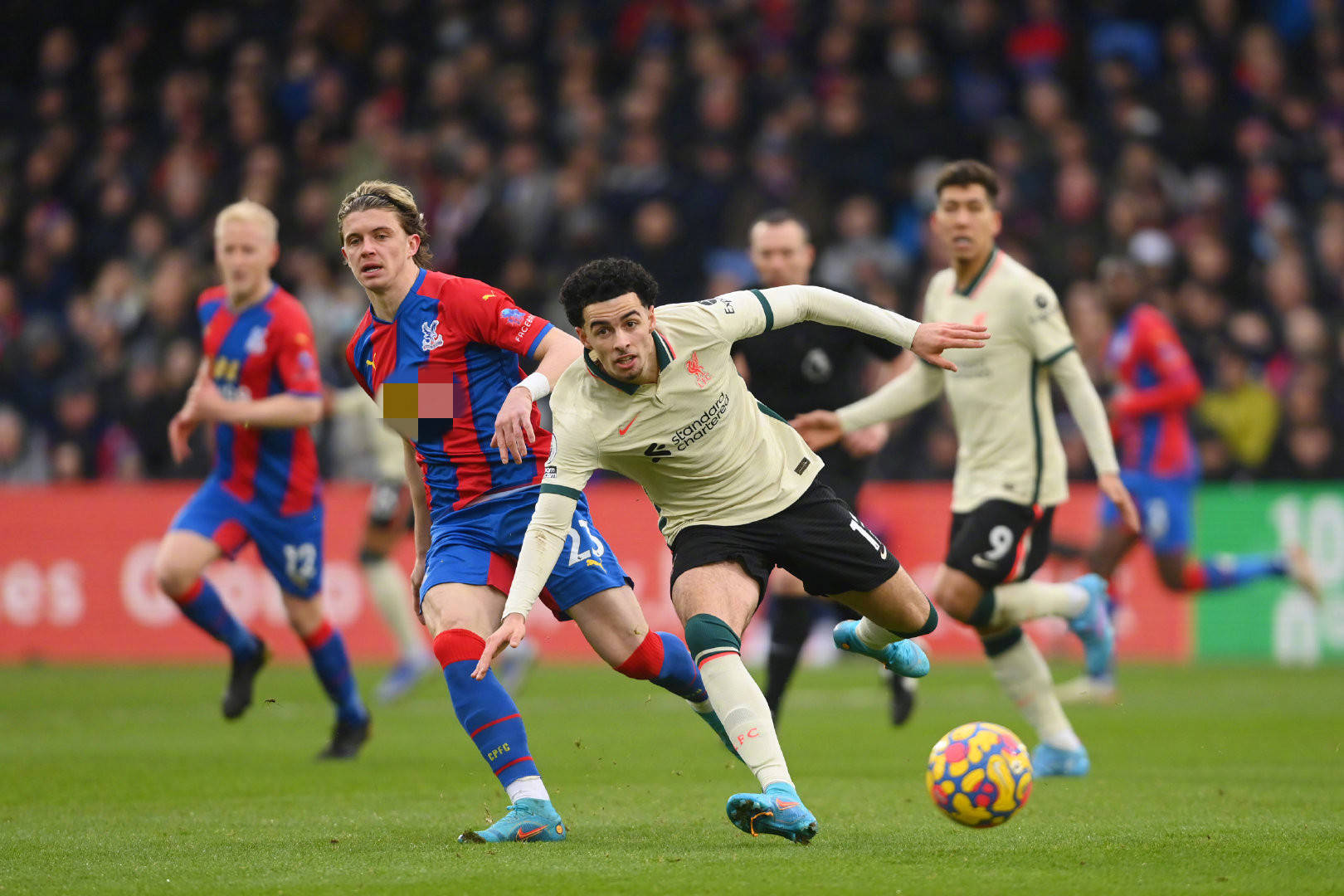 曼联已经接 曼联已经接